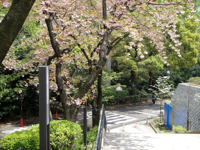 会場の様子